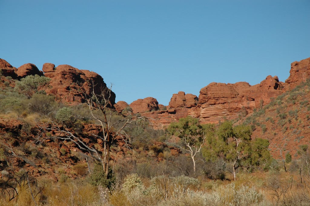 Kings Canyon